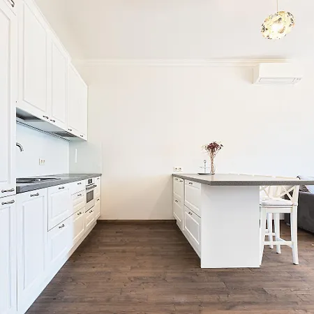 Stylish Well Equiped - Self Check-in 公寓 维尔纽斯